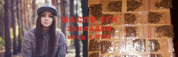 тгк Пересвет