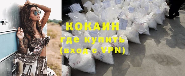 ГАЛЛЮЦИНОГЕННЫЕ ГРИБЫ Покров
