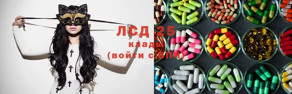 тгк Пересвет
