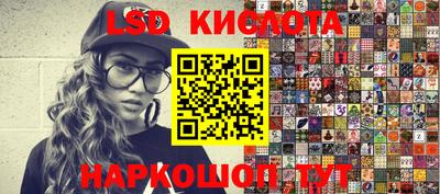 шишки Гатчина