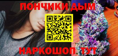 шишки Гатчина