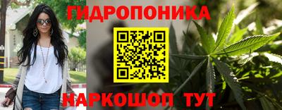 шишки Гатчина