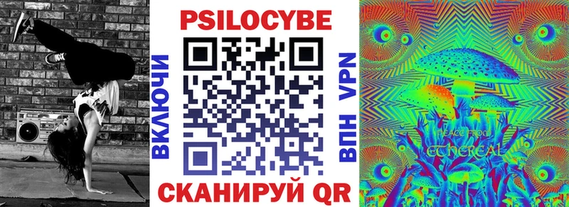 Галлюциногенные грибы Psilocybine cubensis  Алексин 