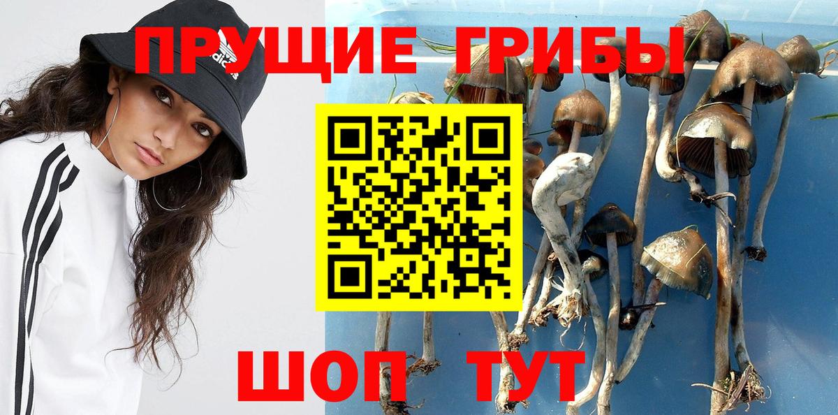 Псилоцибиновые грибы MAGIC MUSHROOMS Алексин