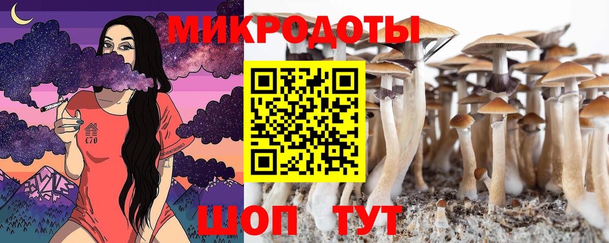 Алексин  Галлюциногенные грибы Cubensis  Псилоцибиновые грибы мицелий  Вход с VPN 