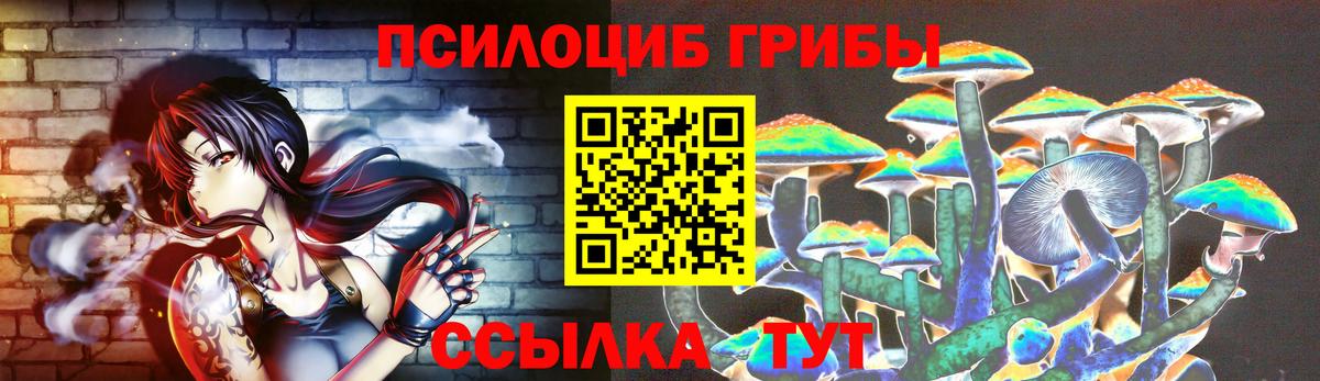 Алексин  Галлюциногенные грибы Psilocybe  Вход с VPN 